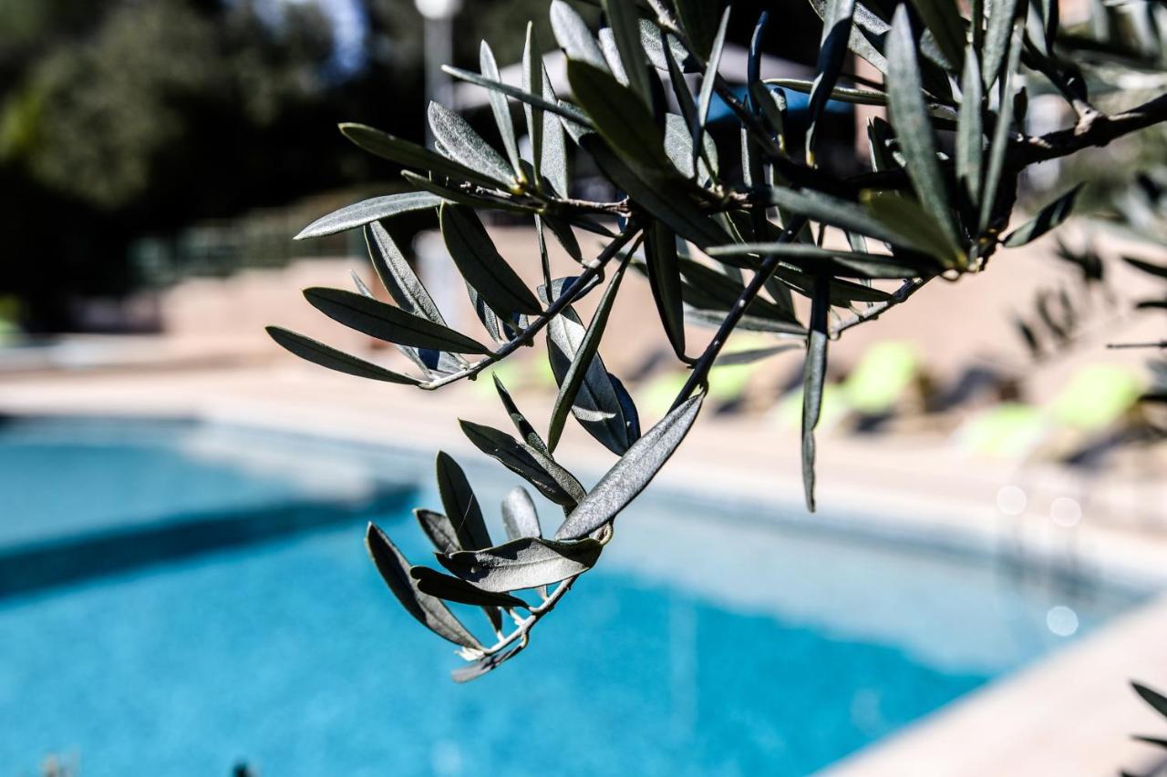 Les Arbousiers Village Hotel Provencal La Roquebrussanne 外观 照片